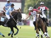 Ellerstina Alegría Vivo Polo Domingo Noviembre 2017