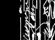 Denise Levertov. Pausa versal