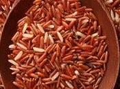 Levadura Roja Arroz