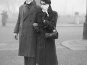 animales como testigos contaminación