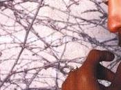 Prince Cinnamon girl (2004)