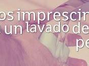 Consejos Imprescindibles para Lavado Manos Perfecto