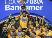 Tigres Campeón Apertura 2017
