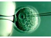 Ovarios Artificiales Transplantables