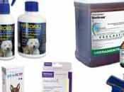 Medicamento para eliminar garrapatas perros: pastillas, shampoos, pipetas, collares