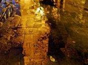 Gotas otoño