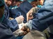 Donan vida trasplante multiorgánico interestatal