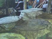 Buscan fuente distribución clerén mató dominicanos cuatro haitianos.