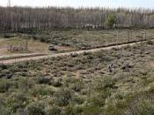 inconstitucional ordenanza prohíbe fracking