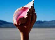 [Disco] Killers Wonderful, Wonderful (2017)