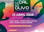 XXXV media maraton olivo 2018