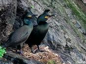Tiempo paradas nupciales