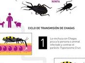 vacuna contra enfermedad Chagas cada cerca