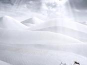 Insectos nieve