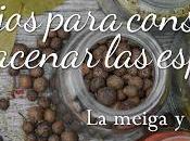 Consejos para Conservar Almacenar Especias