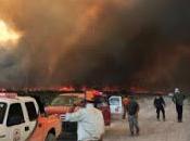 21.000 hectáreas quemadas incendios forestales Negro