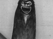 Babadook