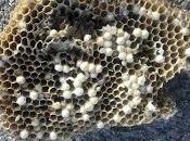 Concurso Fotografía Matemática Alfonso