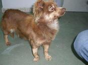 Miel, tanto dolor poco cuerpo