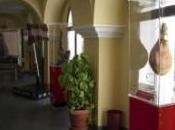 Museo jamón Aracena