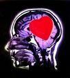 Cómo funciona cerebro emocional?