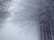 autoestima: quieres mismo?