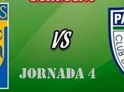 Previa Tigres Pachuca Clausura 2018