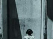 Bami sombra Fernando Aramburu,Descargar gratis