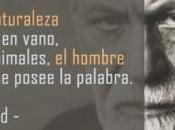 Freud, pensamiento universal