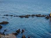 Sirenas