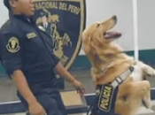 Policía Peru video escuadrón canino ritmo "Scooby PaPa"