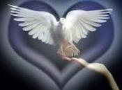 Avance programa eventos actividades PRIMER TRIMESTRE 2018