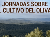 Jornadas sobre cultivo olivar.