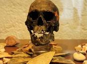 Exhiben cráneo Hombre Chimalhuacán hace 10.500 años