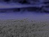 Anarquismo frente crisis mundial: Densidad desarrollo