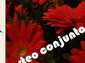 Sorteo conjunto amor Alejandro Palomas