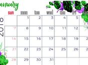 hermoso calendario 2018, donde podrás llevar notas...