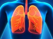 Alimentación para salud pulmonar respiratoria