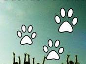 Semiótica “buenas nuevas”: Albricia País Maravillas