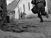 Larraín mirada hormiga