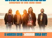 Chris Robinson Brotherhood 05/03/2018 Sala (Madrid)