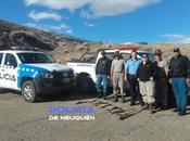 Importante operativo contra pesca furtiva cerca Collón Curá