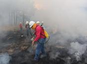 Edoméx entre cinco estados detectar atender mayor rapidez incendios forestales