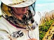 RUMANÍA: Apoyo financiero para inversiones apicultura 2.100 contratos financiamiento fueron firmados apicultores recibieron fondos inversión.