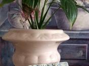 relieve bajorrelieve...
