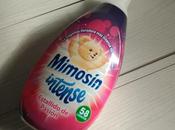 Probando Mimosin Intense