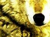 alfa Sophie Saint Rose,Descargar gratis