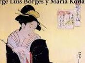 libro almohada caja Kovak