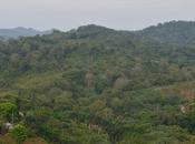 República Dominicana avanza para implementar REDD+