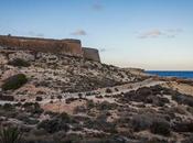 vende castillo